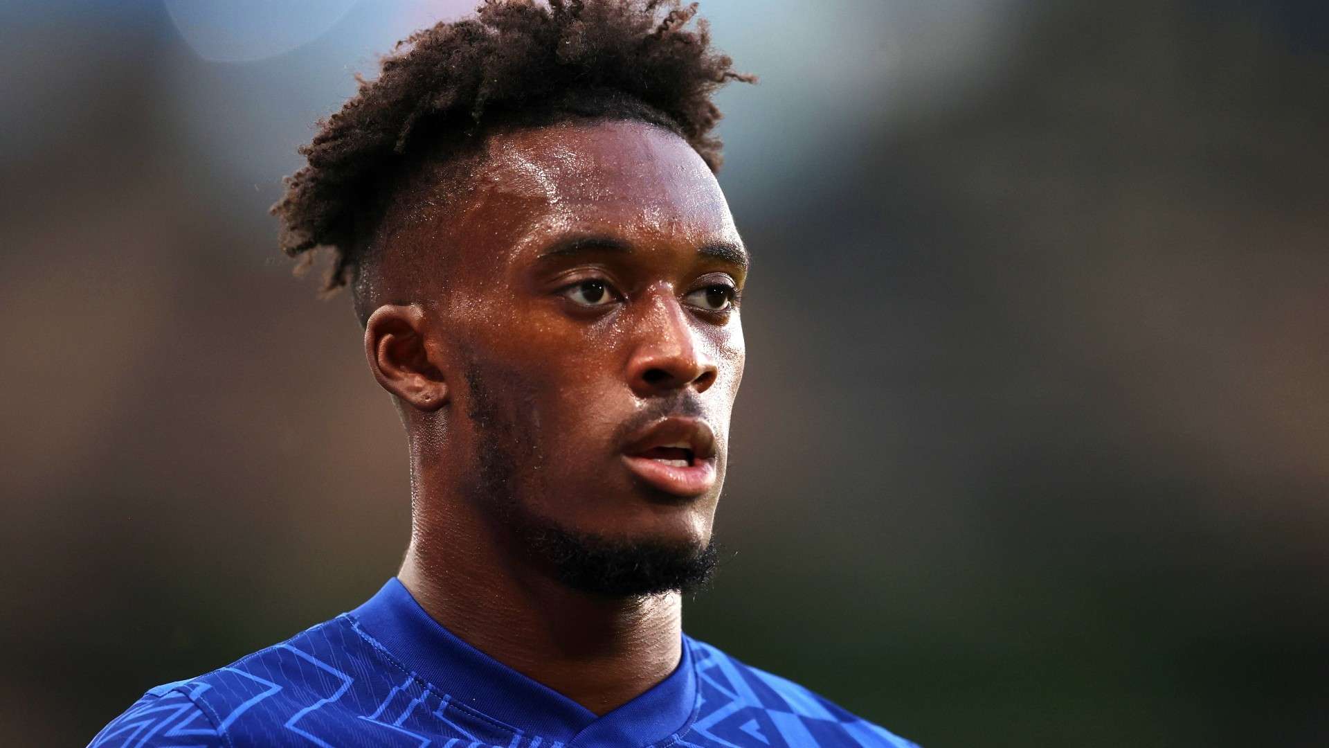 引入适应现 引入适应现