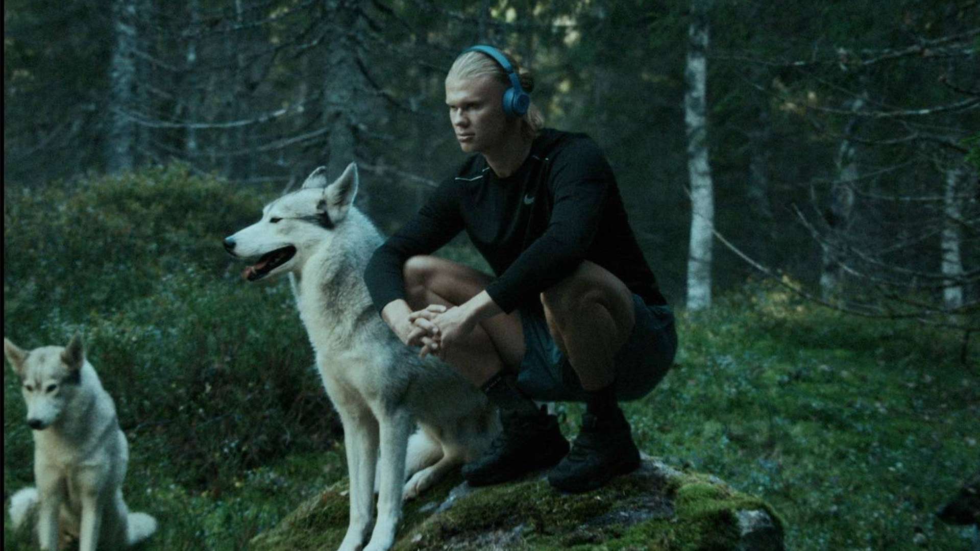 再到关键时 再到关键时